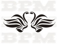 /album/vtaky/vtaky-6-jpg/